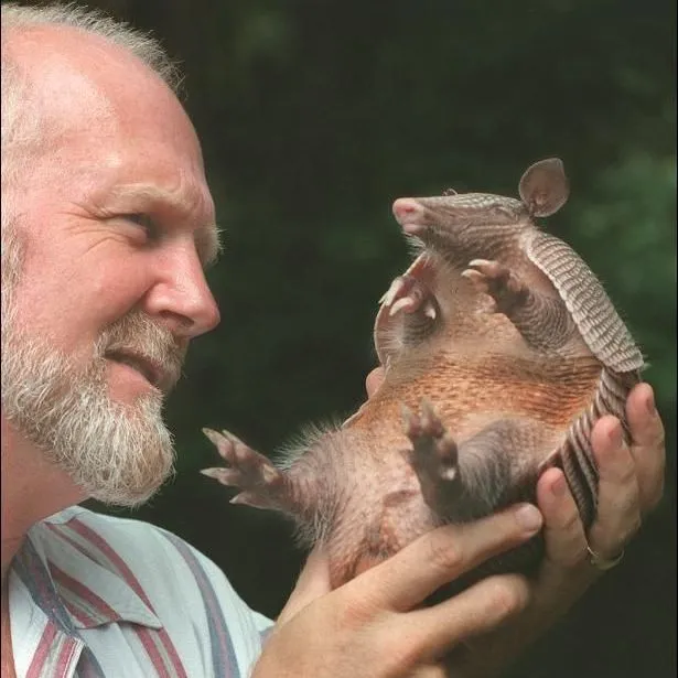 thumbnail for publication: Hoja informativa sobre la vida silvestre de Florida: armadillo de nueve bandas